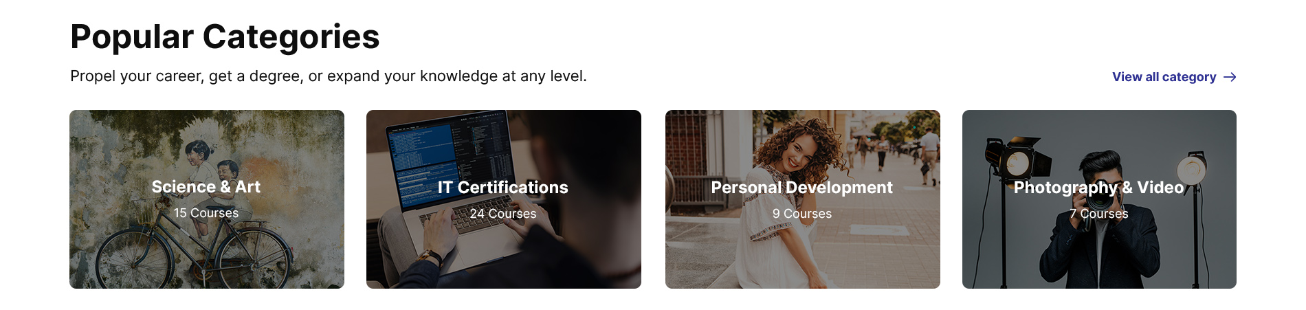 Theme home page categories section preview