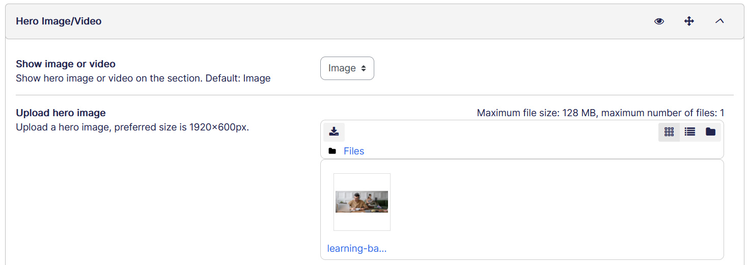 Theme home page settings hero section