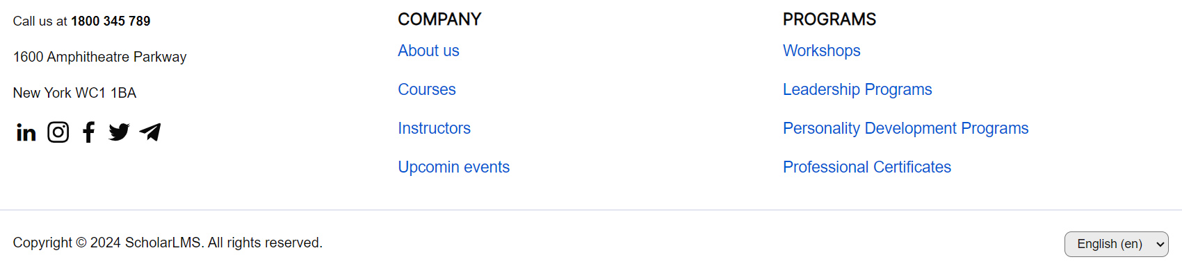 Theme settings footer preview